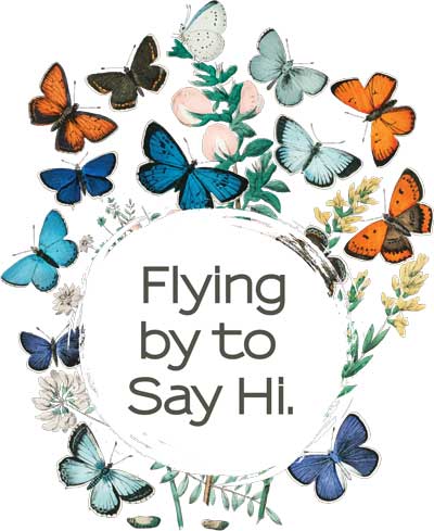 Butterflies