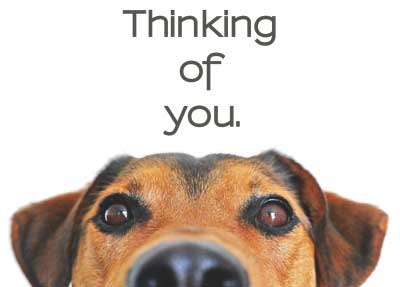 Thinking of You