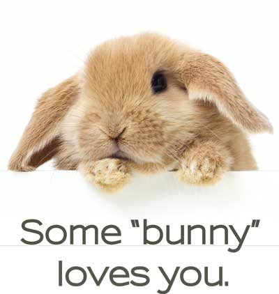 Some Bunny